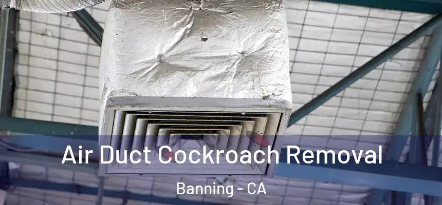  Air Duct Cockroach Removal Banning - CA