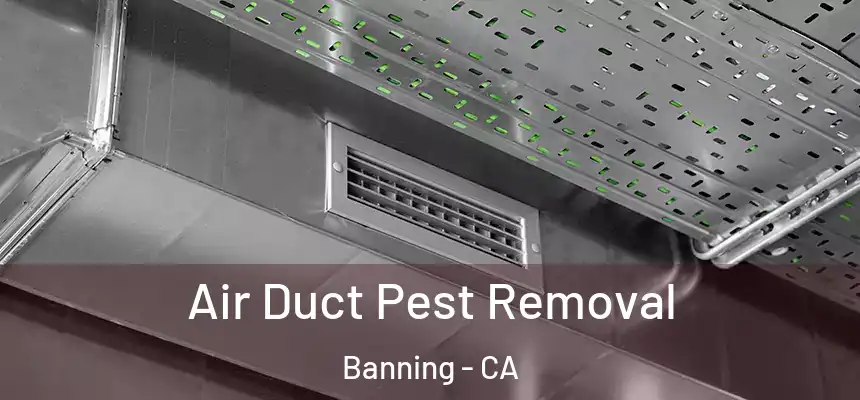 Air Duct Pest Removal Banning - CA