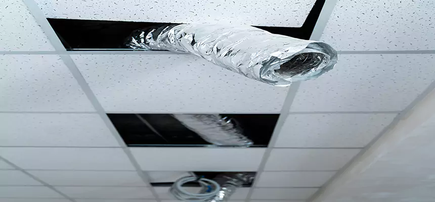 Affordable HVAC Sanitizing After Pest Removal in Banning