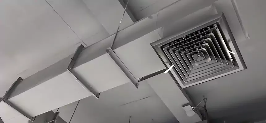 Our Pest Removal From Ducts Services in Banning, CA