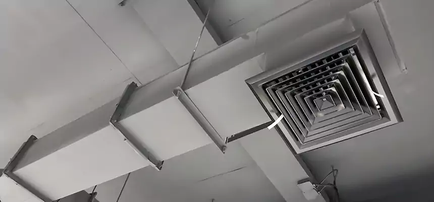 Our Rodent Droppings In Vents Services in Banning, CA