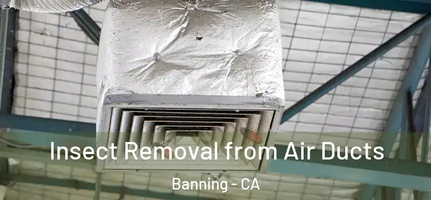  Insect Removal from Air Ducts Banning - CA