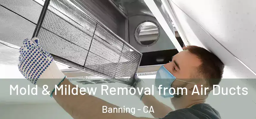  Mold & Mildew Removal from Air Ducts Banning - CA