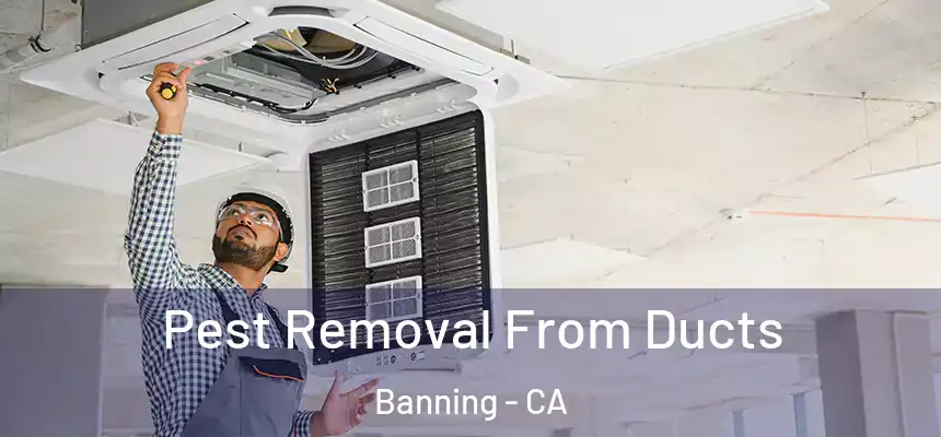  Pest Removal From Ducts Banning - CA