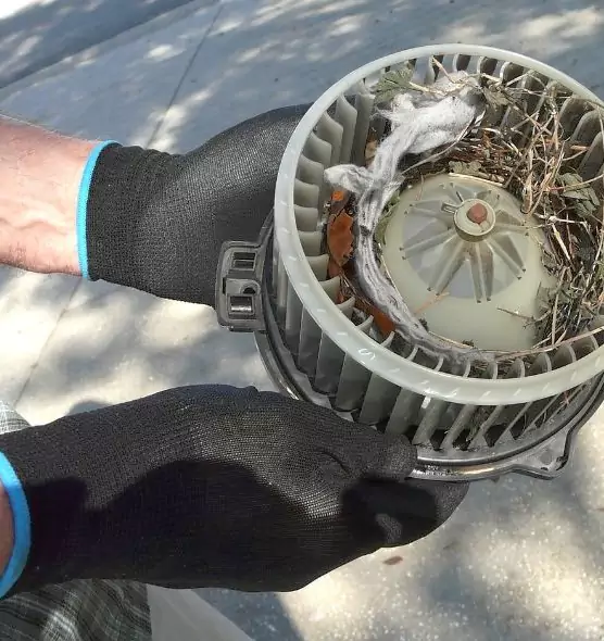 About Air Duct Rat Removal in Banning, CA