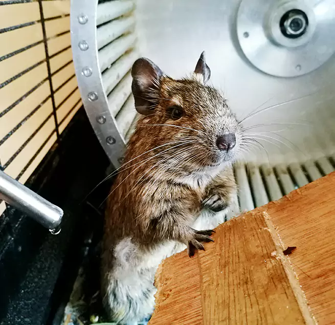 Why Homeowners & Businesses Trust Us Banning, CA?