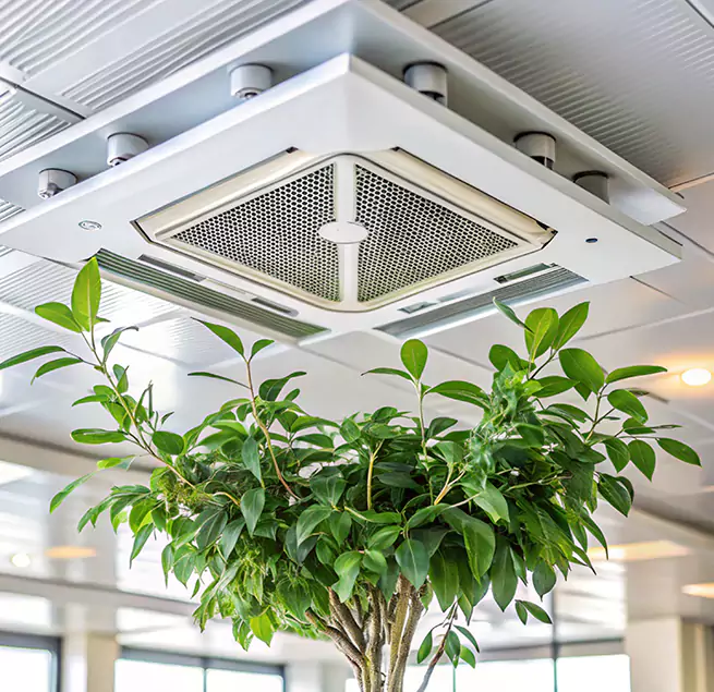 Why Homeowners & Businesses Trust Us in Banning, CA?